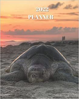 2022 Planner: Sunny Turtle - Monthly Calendar with U.S./UK/ Canadian/Christian/Jewish/Muslim Holidays– Calendar in Review/Notes 8 x 10 in.-Nature Animals For Work Business School indir