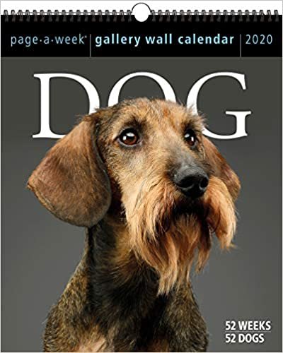 ダウンロード  Dog Page-a-Week Gallery 2020 Calendar 本