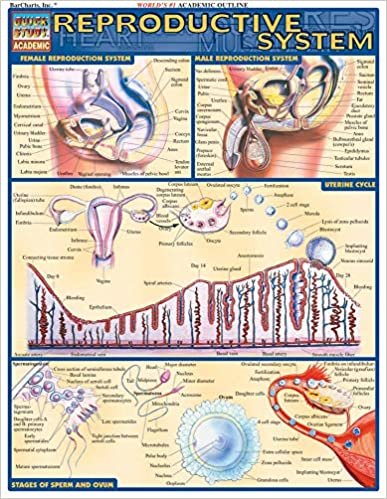 Reproductive System Quick Reference Guide (Quick Study Academic) ダウンロード