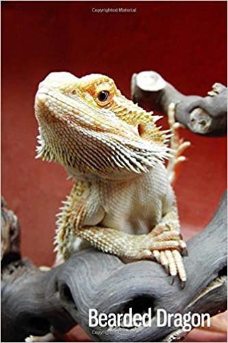 indir Bearded Dragon: Notebook Lined Journal | Gift Idea for Boys Girls Kids s, Diary for Animal Lovers