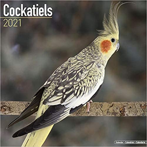 ダウンロード  Cockatiels 2021 Wall Calendar 本