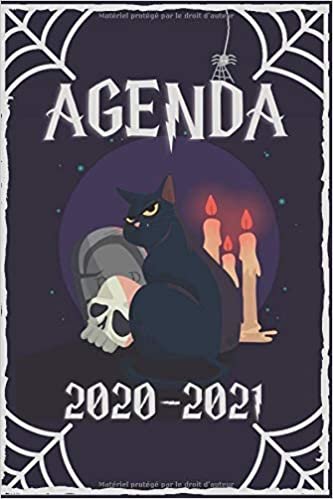 I Thème chat I Agenda 2020-2021: Primaire, Collège, Lycée, Etudiant Toute l'année scolaire avec les différentes zones et la liste des jours fériés. indir