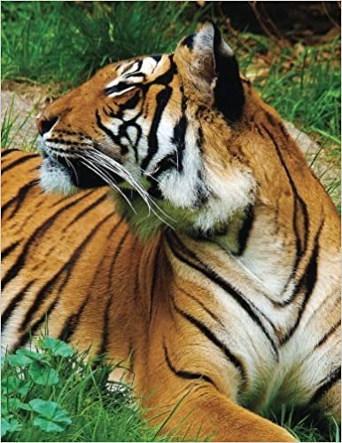 Tiger Blank Sketchbook: Art Sketch Pad Notebook: Volume 10 (Wildlife150 Sketch) indir