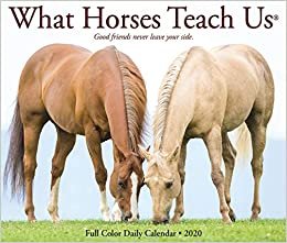 What Horses Teach Us 2020 Calendar
