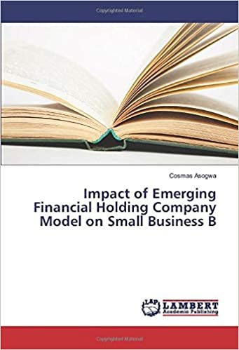 indir Impact of Emerging Financial Holding Company Model on Small Business B
