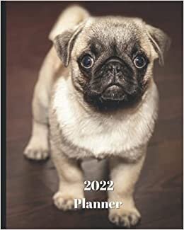 2022 Planner: Pug Puppy -12 Month Planner January 2022 to December 2022 Monthly Calendar with U.S./UK/ Canadian/Christian/Jewish/Muslim Holidays– Calendar in Review/Notes 8 x 10 in.- Dog Breed Pets indir
