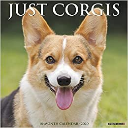 Just Corgis 2020 Calendar