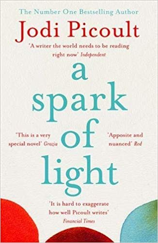 A Spark of Light: from the author everyone should be reading indir