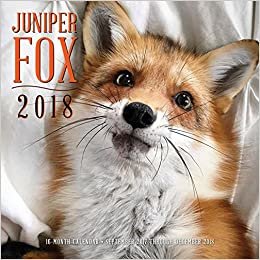 Juniper Fox 2018: 16 Month Calendar Includes September 2017 Through December 2018 (Calendars 2018)
