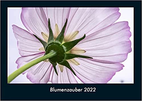 Blumenzauber 2022 Fotokalender DIN A4: Monatskalender mit Bild-Motiven aus Fauna und Flora, Natur, Blumen und Pflanzen ダウンロード