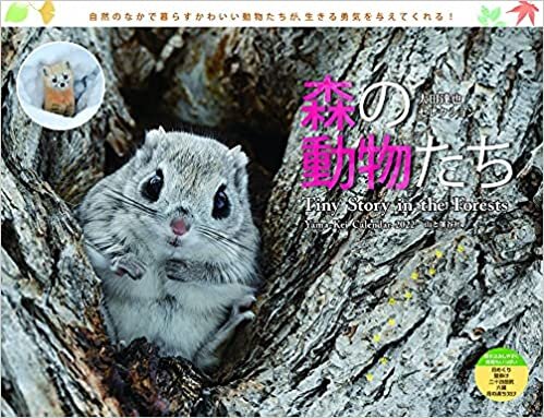 カレンダー2022 太田達也セレクション 森の動物たち Tiny Story in the Forests (月めくり・壁掛け) (ヤマケイカレンダー2022)
