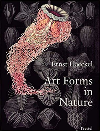 اقرأ لوحة فنية أشكال في الطبيعة: من المطبوعات Ernst Haeckel الكتاب الاليكتروني 