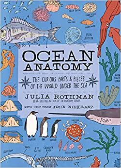 تحميل Ocean Anatomy: The Curious Parts &amp; Pieces of the World Under the Sea