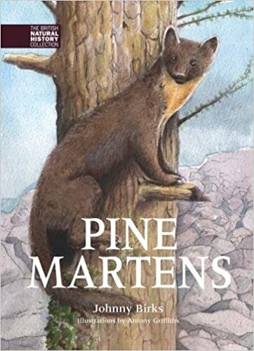 indir Pine Martens (BNHC Vol:8) (The British Natural History Collection)