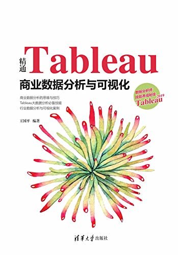 王国平精通tableau商业数据分析与可视化 下载免费