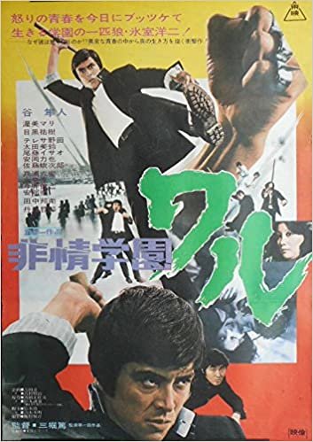avapo60 劇場映画ポスター ：【非情学園　ワル】1973年公開　谷隼人　渥美マリ