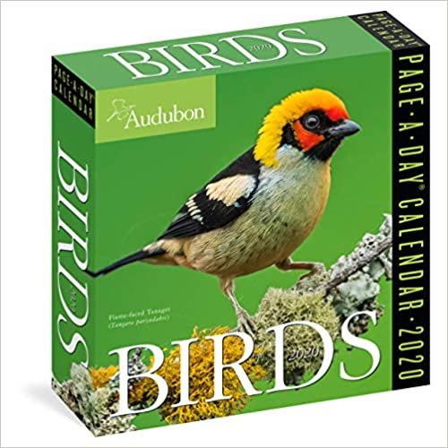 Audubon Birds 2020 Calendar