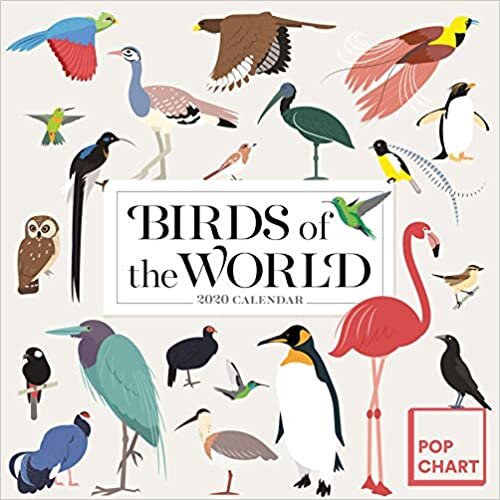 Birds of the World 2020 Calendar
