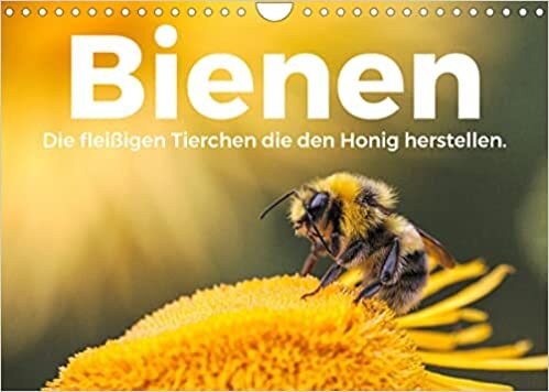 ダウンロード  Bienen - Die fleissigen Tierchen die den Honig herstellen. (Wandkalender 2022 DIN A4 quer): Erleben Sie einen Einblick die wunderbare Welt der Bienen. (Monatskalender, 14 Seiten ) 本
