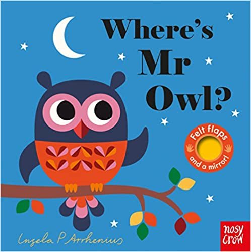 Where's Mr Owl? (Felt Flaps)