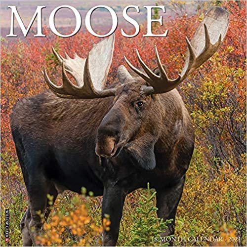 ダウンロード  Moose 2021 Calendar 本