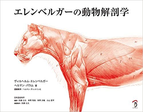 ダウンロード  エレンベルガーの動物解剖学 本
