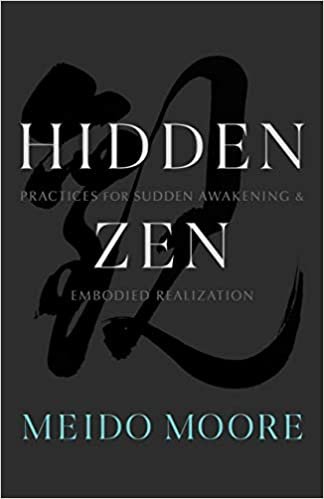 indir Hidden Zen: Practices for Sudden Awakening and Embodied Realization