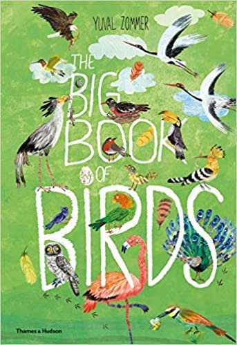The Big Book of Birds indir