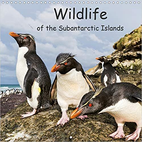 Wildlife of the Subantarctic Islands (Wall Calendar 2021 300 × 300 mm Square): Pictures of penguins, albatrosses and seals living on remote islands (Monthly calendar, 14 pages ) ダウンロード