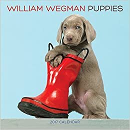 William Wegman Puppies 2017 Wall Calendar