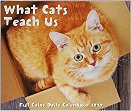 What Cats Teach Us 2019 Calendar