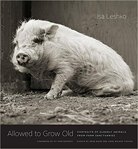 ダウンロード  Allowed to Grow Old: Portraits of Elderly Animals from Farm Sanctuaries 本