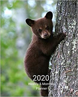 indir 2020 Weekly and Monthly Planner: Bear Cub in Tree - Monthly Calendar with U.S./UK/ Canadian/Christian/Jewish/Muslim Holidays– Calendar in Review/Notes 8 x 10 in.- Brown Black Bear Animals Nature