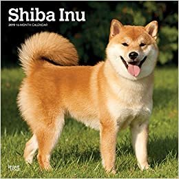 Shiba Inu 2019 Calendar