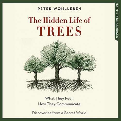 ダウンロード  The Hidden Life of Trees: What They Feel, How They Communicate - Discoveries from a Secret World 本