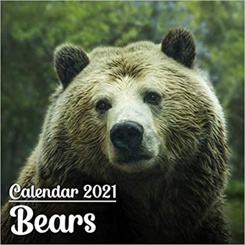 Calendar 2021 Bears: Cute Bears Photos Monthly Mini Calendar | Small Size indir