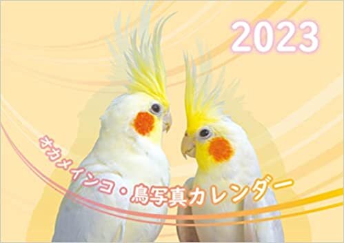 ダウンロード  【Amazon.co.jp 限定】3オカメインコ鳥写真カレンダー2022 (B6サイズ。ワンタッチで卓上にも壁掛けにもなる3Wayカレンダー) 本