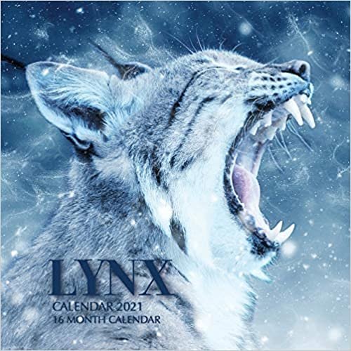Lynx Calendar 2021: 16 Month Calendar indir