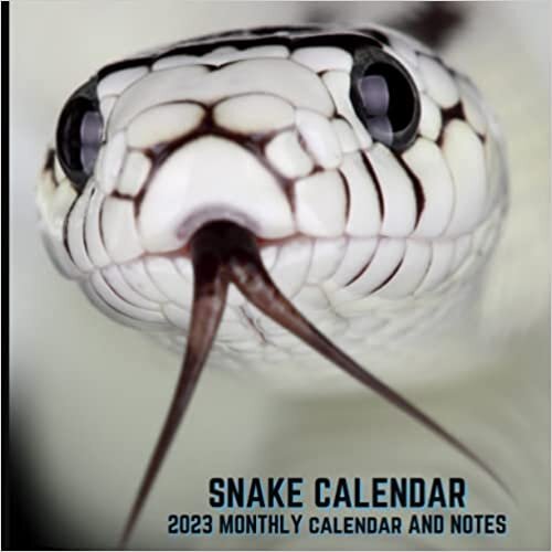 ダウンロード  2023 Monthly Calendar and Notes - Snakes: 2023 Monthly Calendar With High-Quality Snakes Pictures | Cute Snake Calendar 2023. 本