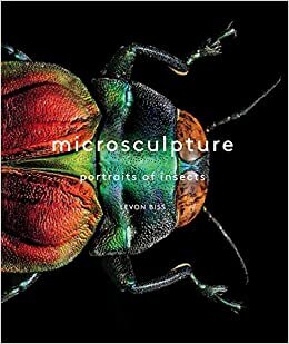 indir Microsculpture: Portraits of Insects