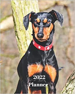 2022 Planner: German Pinscher Dog -12 Month Planner January 2022 to December 2022 Monthly Calendar with U.S./UK/ Canadian/Christian/Jewish/Muslim ... in Review/Notes 8 x 10 in.- Dog Breed Pets indir