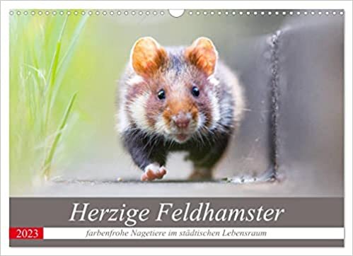 ダウンロード  Herzige Feldhamster - farbenfrohe Nagetiere im staedtischen LebensraumAT-Version (Wandkalender 2023 DIN A3 quer): Wilde Feldhamster im Portrait. (Monatskalender, 14 Seiten ) 本