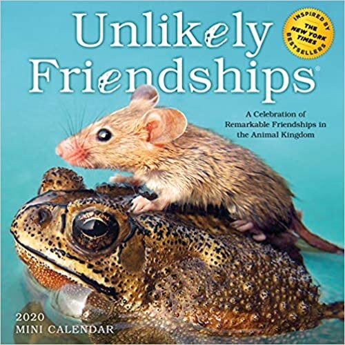 indir Unlikely Friendships Mini Calendar 2020