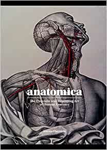 ダウンロード  Anatomica: The Exquisite and Unsettling Art of Human Anatomy 本