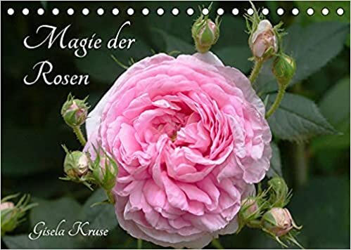 Magie der Rosen (Tischkalender 2022 DIN A5 quer): Die nie aufhoerende Anziehungskraft von Rosen (Monatskalender, 14 Seiten ) ダウンロード