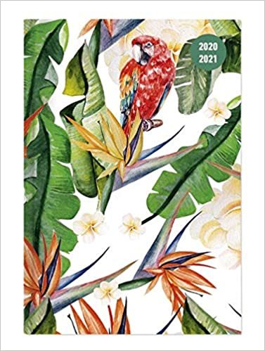 Collegetimer Tropical Dream 2020/2021 - Schüler-Kalender A5 (15x21 cm) - Day By Day - 352 Seiten - Terminplaner - Notizbuch - Alpha Edition (Collegetimer A5 Daily) indir