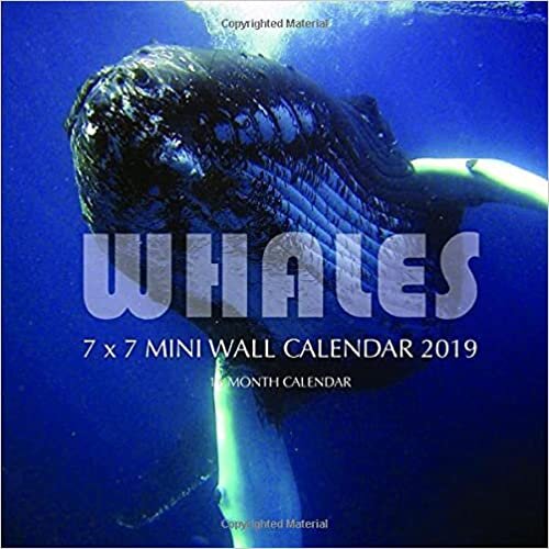 Whales 7 x 7 Mini Wall Calendar 2019: 16 Month Calendar indir