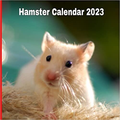 Hamster Calendar 2023: Gift for animals lovers