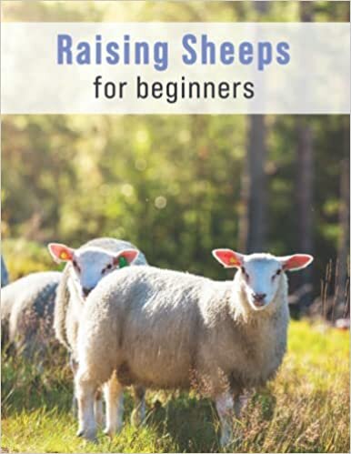 تحميل Guide to Raising Sheep - Guide to Breeds, Housing, Facilities, Feeding, Health Care, Breeding, Milk and Meat