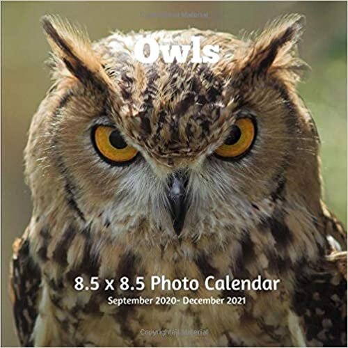 Owls 8.5 X 8.5 Calendar September 2020 -December 2021: Monthly Calendar with U.S./UK/ Canadian/Christian/Jewish/Muslim Holidays-Birds Animal Nature indir
